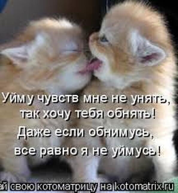 Вот как хочу обнять открытки Вот как хочу обнять открытки