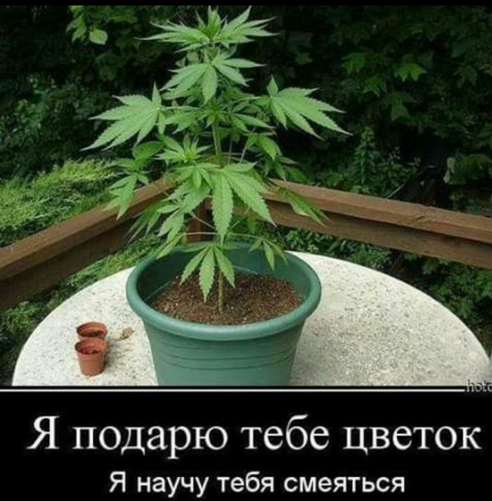 Теле пополнить счет банковской картой без комиссии Теле пополнить счет банковской картой без комиссии