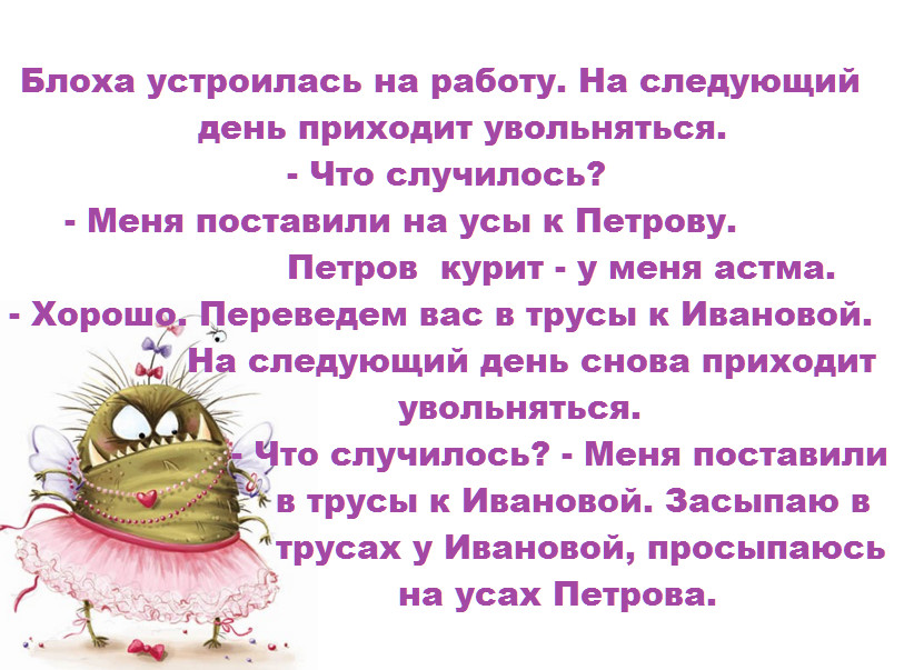 Анекдот как блоха на работу устроилась Анекдот как блоха на работу устроилась