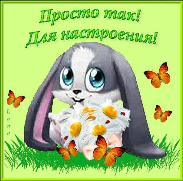 Малышу поздравления просто так Малышу поздравления просто так