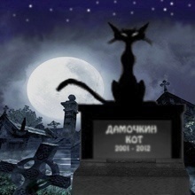 Погост Весёлой Дамочки (быв. Дамочадцы Дня)