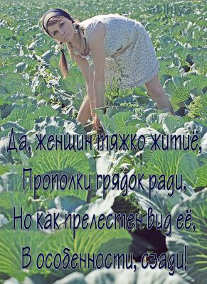 Как сделать шоколад для украшений Как сделать шоколад для украшений