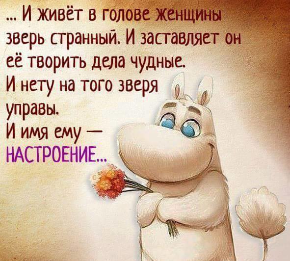 Что у меня в голове стих Что у меня в голове стих