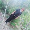 Алина, 30, г.Караганда Алина, 30, г.Караганда