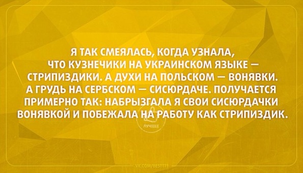 Как сделать поводок для черепахи своими руками Как сделать поводок для черепахи своими руками