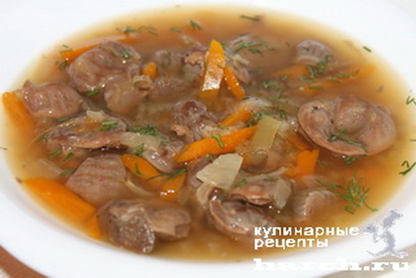 Суп из куриных желудков рецепт с пошагово Суп из куриных желудков рецепт с пошагово