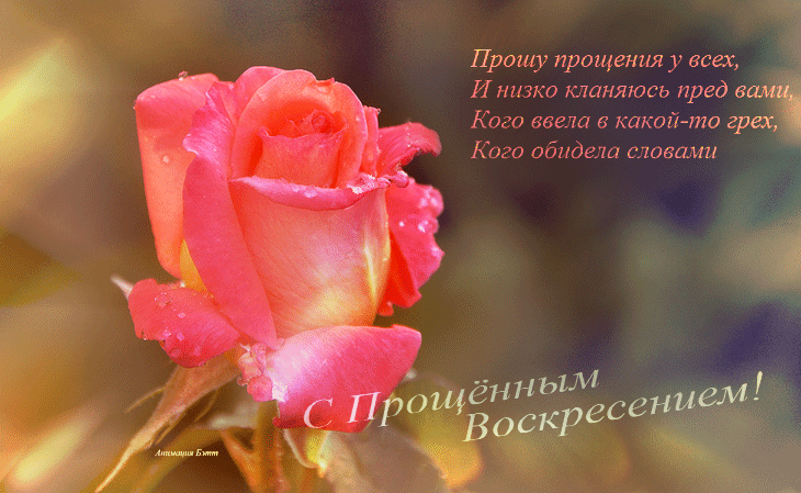 Открытки с цветами прости