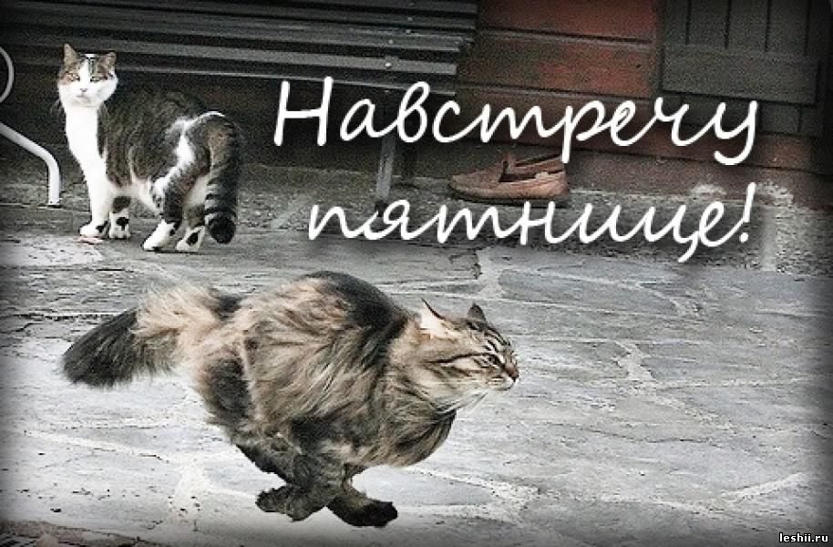 Открытка с анекдотом жду вызодных, картинки