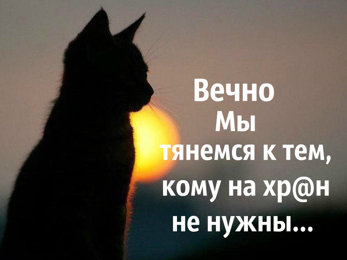Картинки с надписями не кому не нужен, открытка