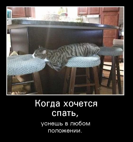 Днем бракосочетания, картинки когда хочется спать на работе