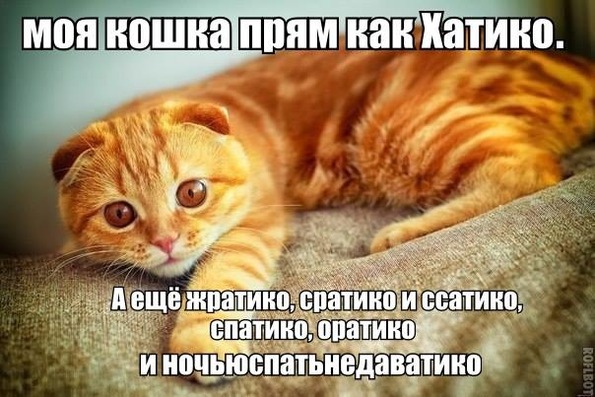 http://f2.mylove.ru/2Po82rDNBPaubkt.jpg