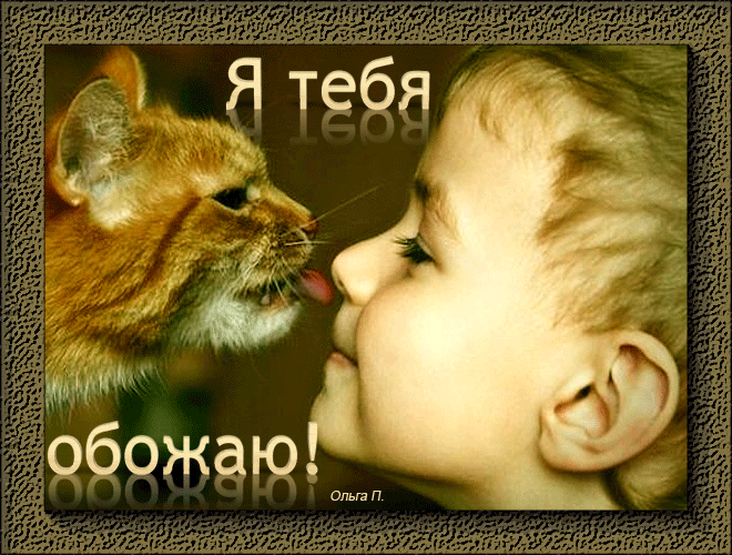 Я тебя обожаю живая открытка, благодарности