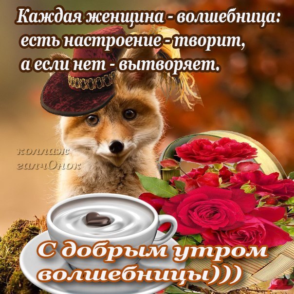 С добрым утром картинки с животными прикольные с пожеланиями, охране