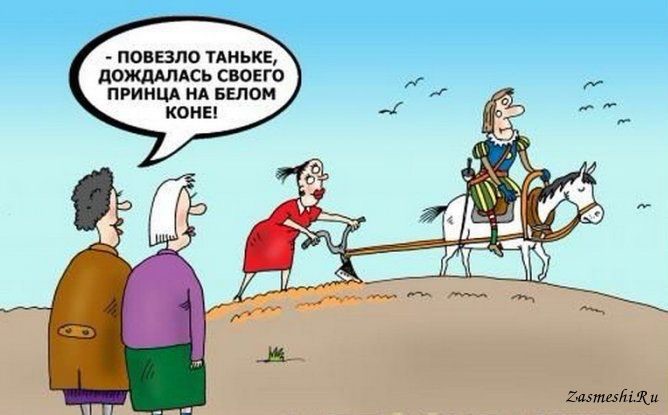 Прикольные картинки про принцев на белом коне, открытка