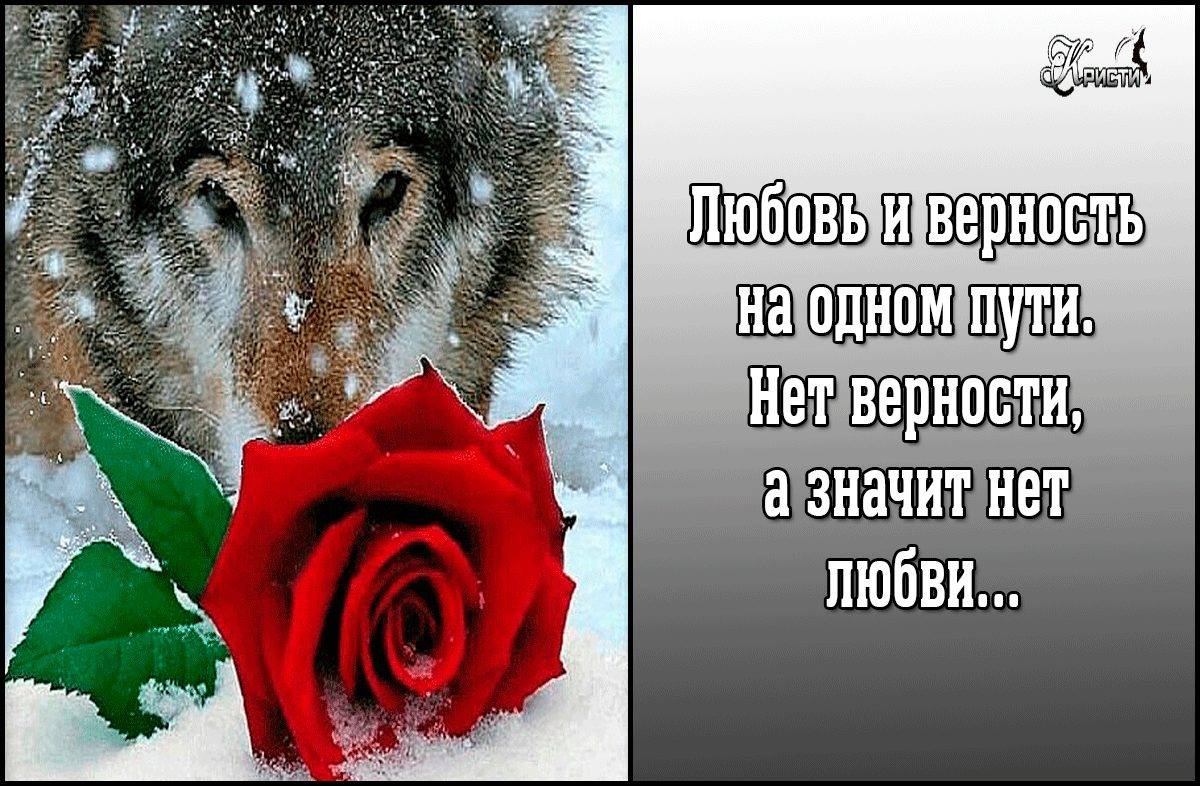 Открытки со словами любви и преданности, иматра картинки смешные