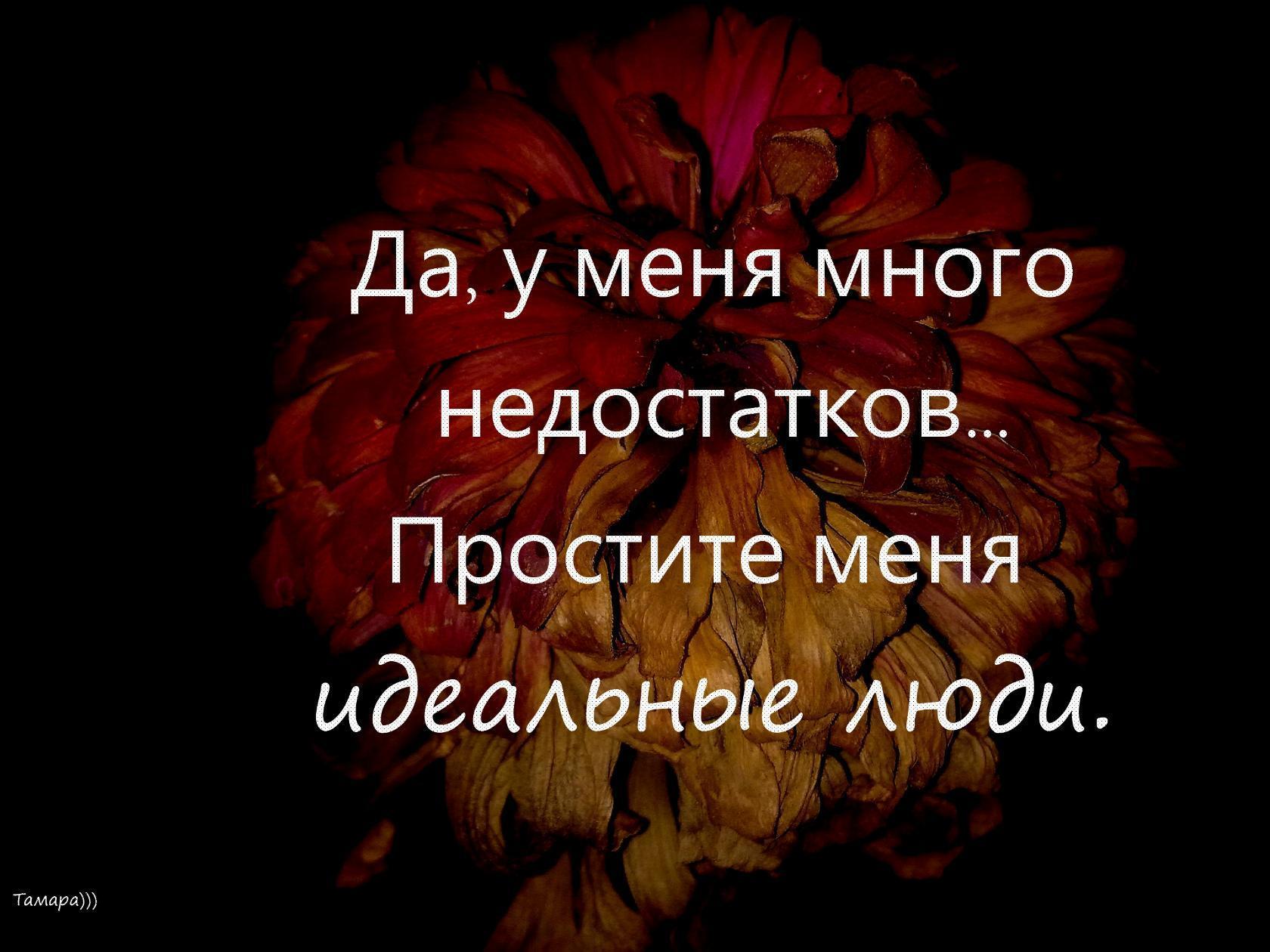 Картинка простите меня идеальные люди