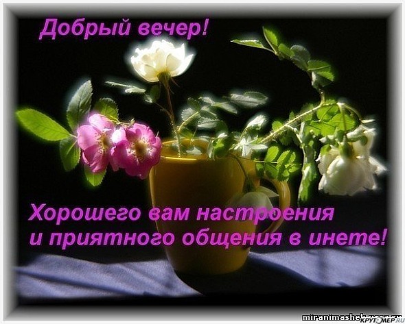 Прикольные, открытки вторник вечер