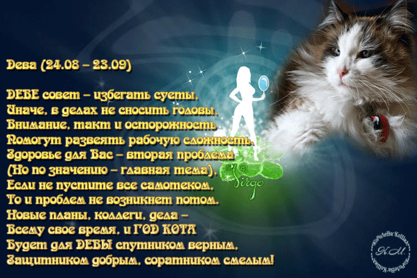 чем поздравление по знаку зодиака с днем рождения дева отзывы