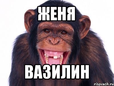 Евгения прикольные картинки, картинки рабочий стол