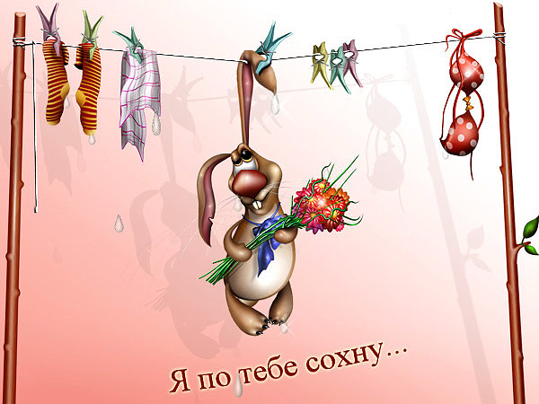 Днем свадьбы, картинки прикольные я тебя люблю мужчине