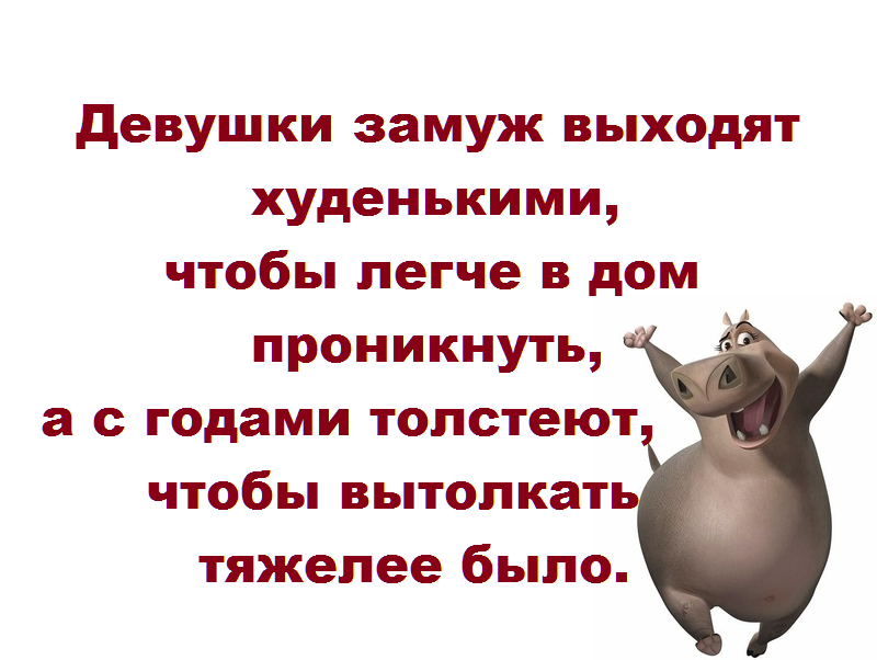 Смешные картинки с надписями до слез для поднятия настроения