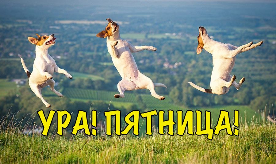 Картинки с приколами с пятницей