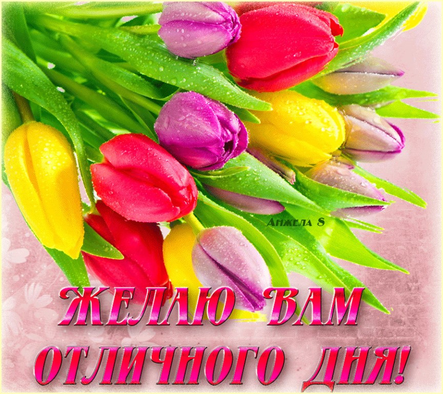 Отличного вам дня открытки, рыжее котята надписями
