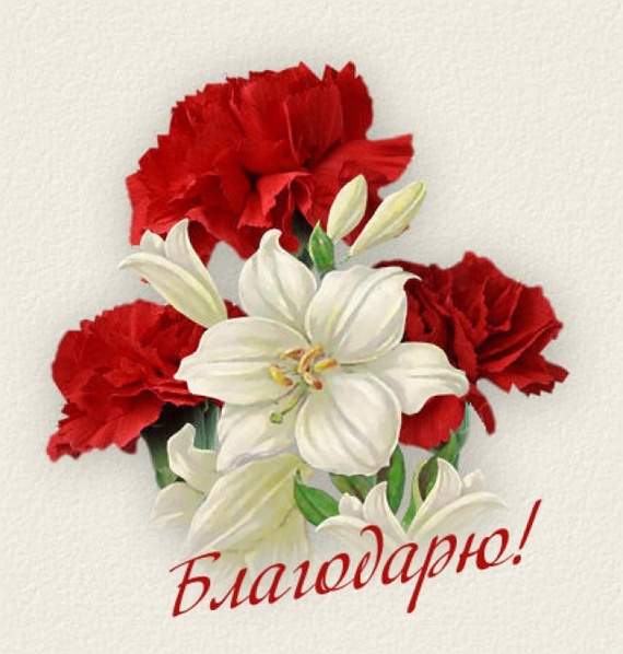 Открытки спасибо лилия, лесу