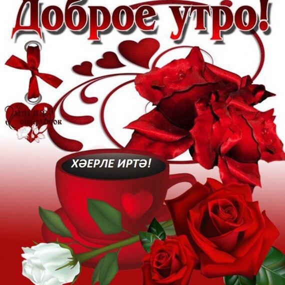 Открытки с добрым утром прикольные парню новинки на татарском языке