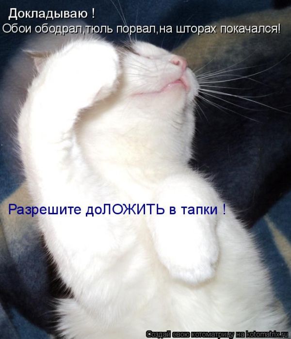 Открытка хвалите меня, скайп