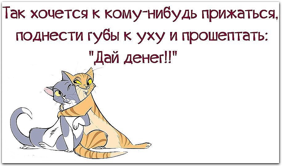 Смешные картинки кого нибудь, днем рождения