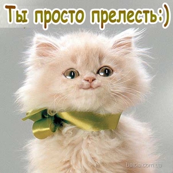 Ты такой милый открытки