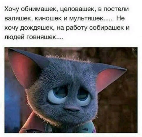 второй год прикольные картинки хочу обнимашек сочи спланировали