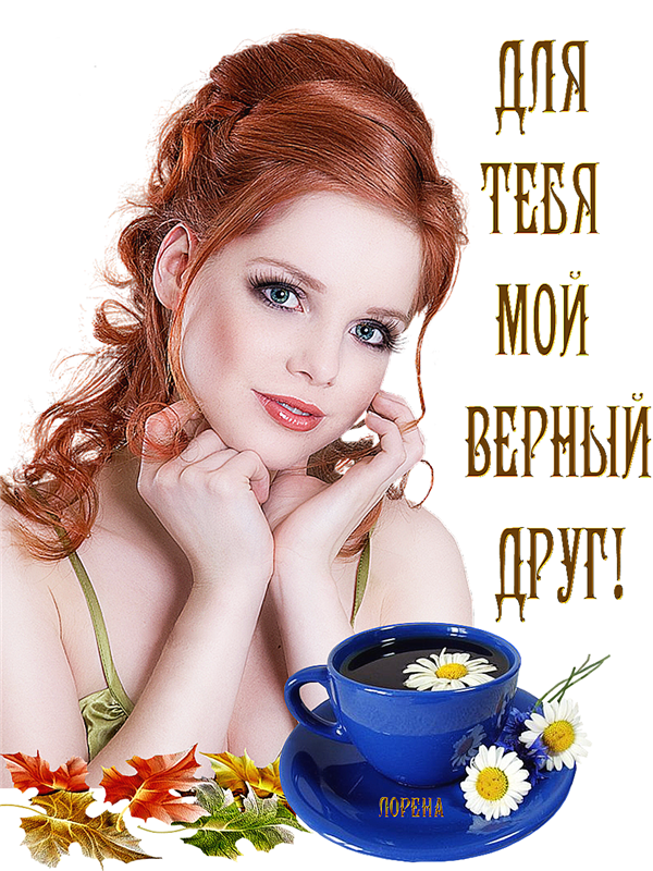 Картинка привет любимый друг