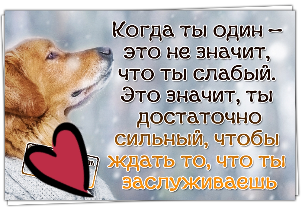 Изречения в картинках новые