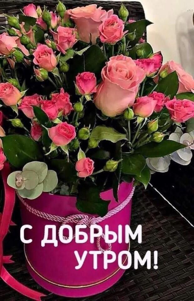 Мобильные открытки, картинки с добрым утром олечка