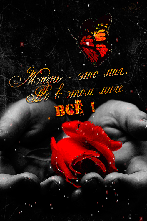Интересные гифы про жизнь