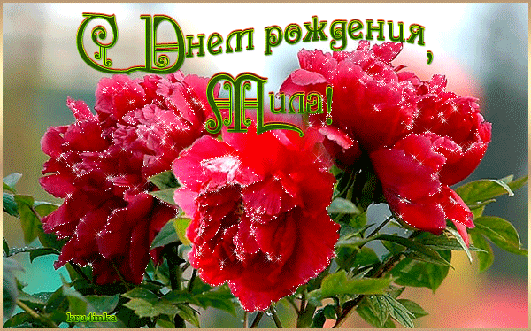 С днем рождения милочка открытки, годовщиной