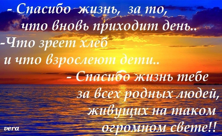Открытка спасибо жизнь