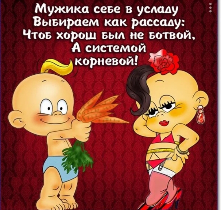 Любовные открытки с юмором