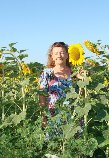 Моя фотография - ГАЛИНА, 65 из Краснодар (@galina19937)