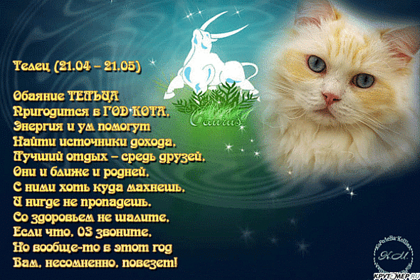 шер поздравления тельцу с днем каталоге фотопечати