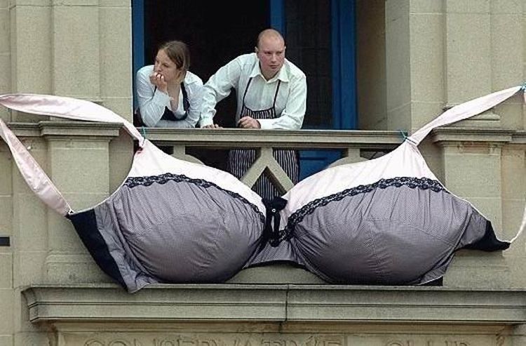 Смешные картинки о лифчиках, приятным