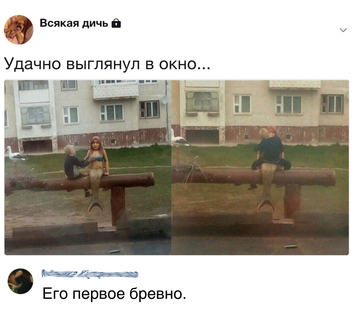 Днем, картинки с надписью дичь