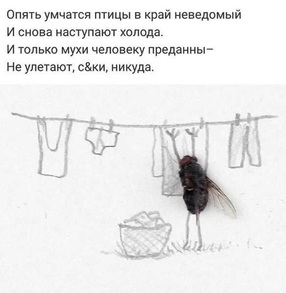 Даче, и вот полетели белые мухи прикольные стихи картинки