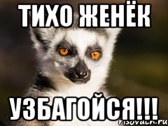Евгения прикольные картинки, картинки свиньями анимационная