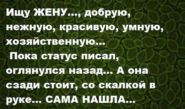 Ищу жену картинка прикольная