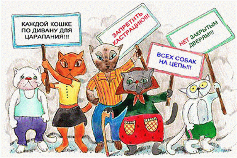 Открытки с днем кошек и котов