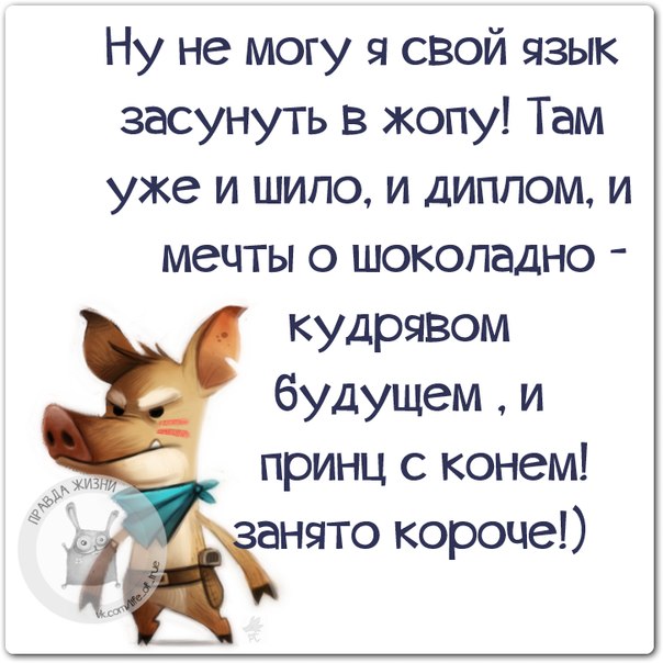 Статусы прикольные в картинках свежие смешные но со смыслом