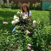 Ирина, 51, г.Электросталь Ирина, 51, г.Электросталь